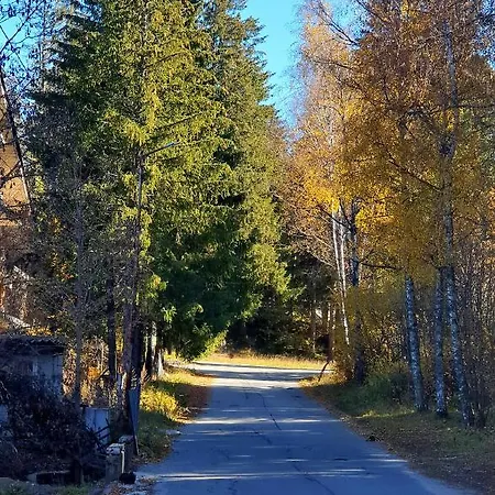 Kokiche 4 Friends, Апартамент Боровец