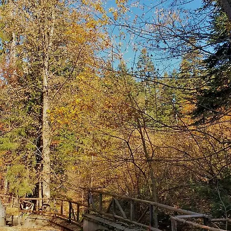 Appartamento Kokiche 4 Friends,