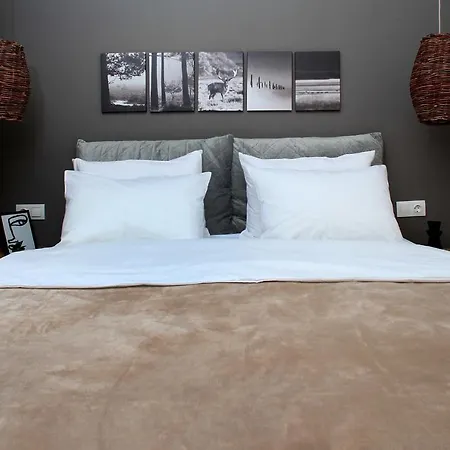 Kokiche 4 Friends, Appartamento *