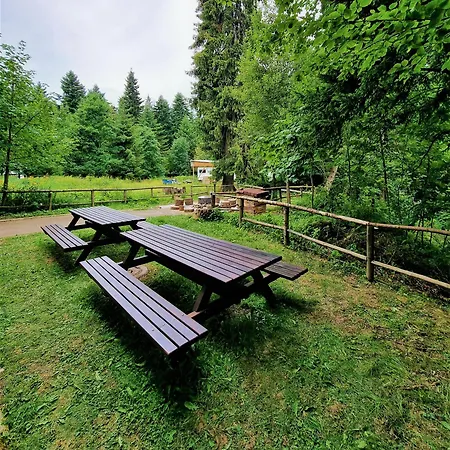 Kokiche 4 Friends, Apartamento *