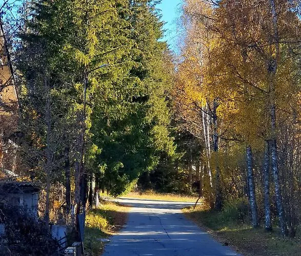 Kokiche 4 Friends, Apartamento Borovets