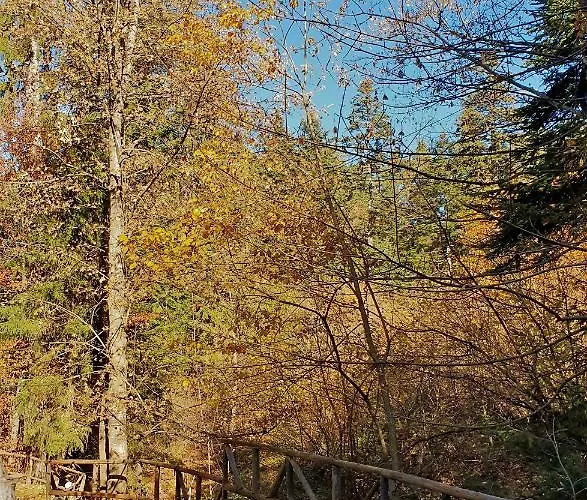 Lejlighed Kokiche 4 Friends,