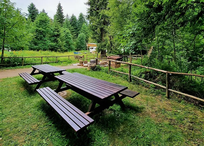 Kokiche 4 Friends, Lejlighed *